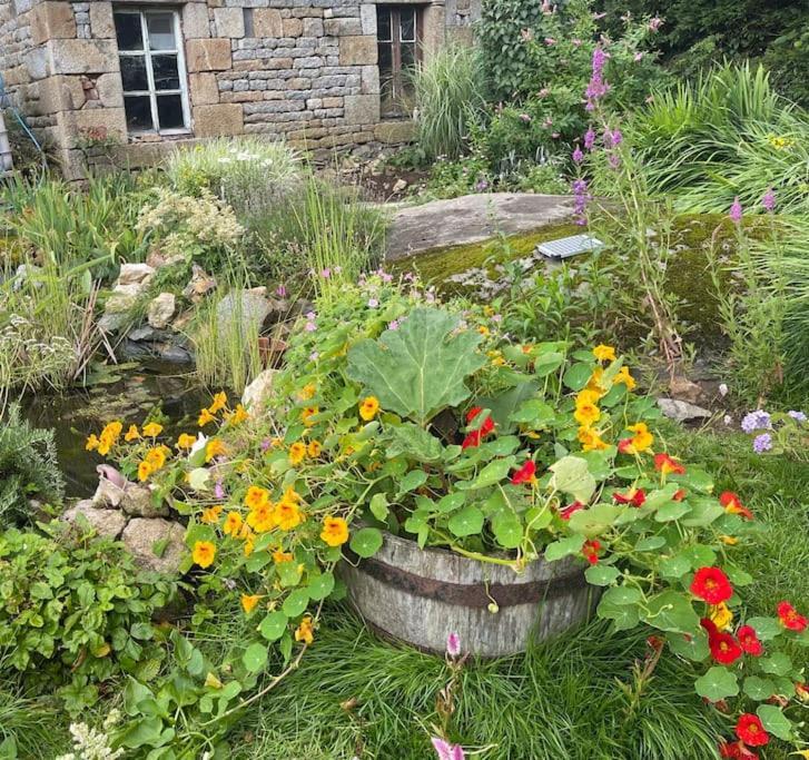 Le Petit Fleur - The Little Flower, Cosy Cottage Saint-Michel-de-Montjoie エクステリア 写真