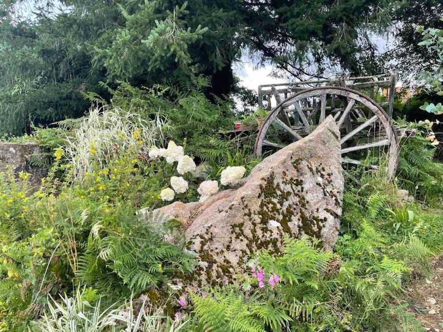 Le Petit Fleur - The Little Flower, Cosy Cottage Saint-Michel-de-Montjoie エクステリア 写真